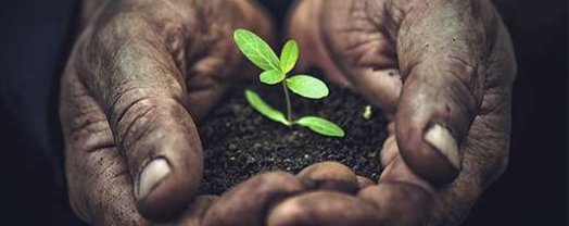 sostenibilidad Ferimet (manos con una planta)