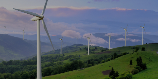 campo aerogeneradores 5