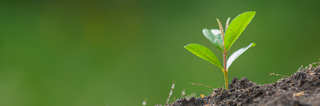 sostenibilidad ferimet 2